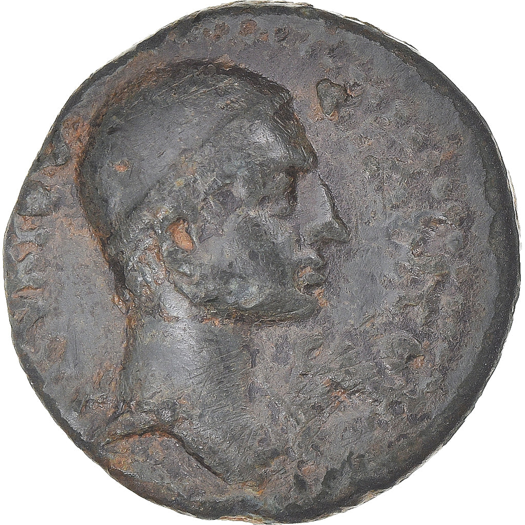 Mince,
kilicie,
Pseudoautonomní