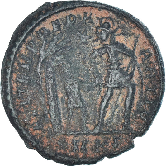 Mince,
Constans,
Maiorina