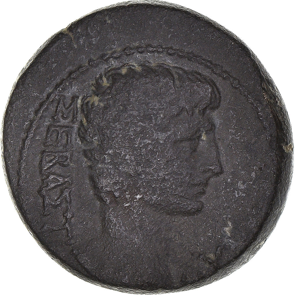 Mince,
Lydie,
Augustus