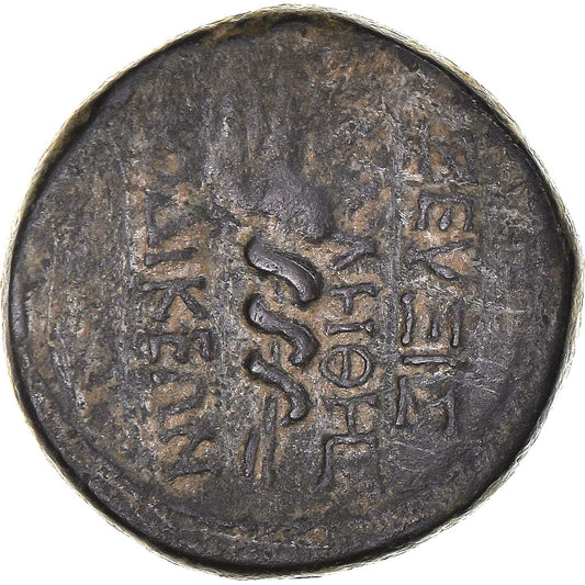 Mince,
Frygie,
Augustus