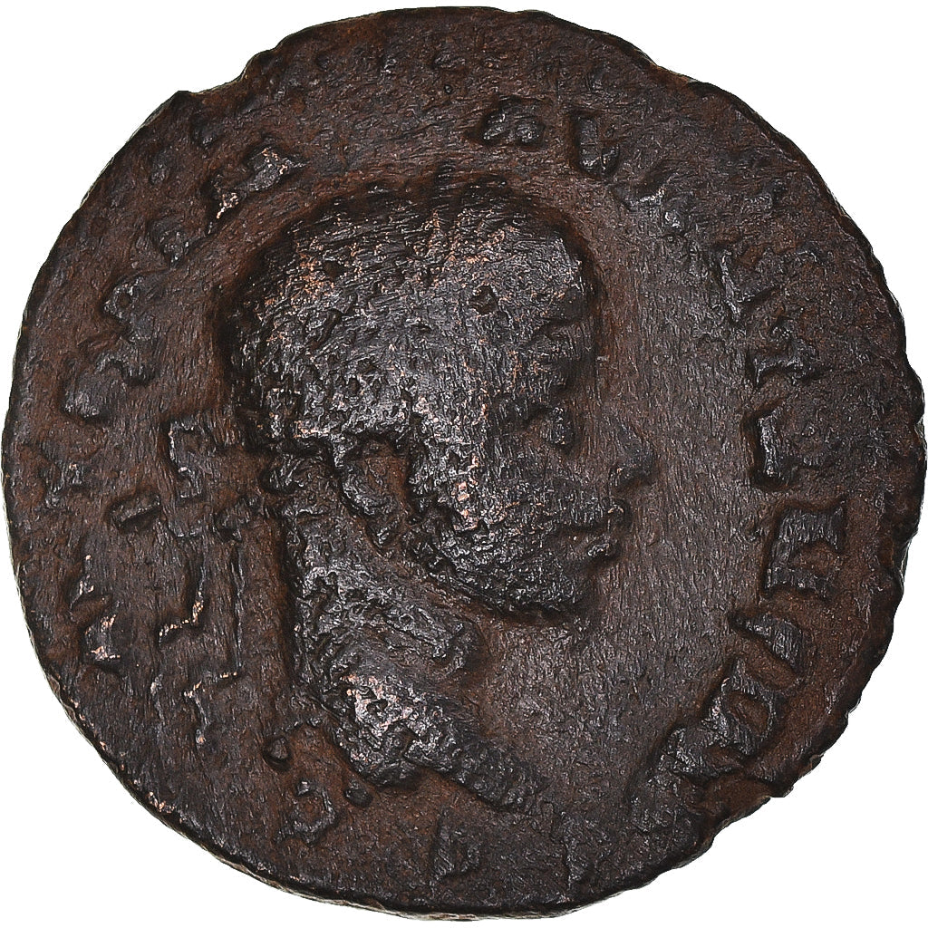 Mince,
Seleucis a Pieria,
Elagabalus a Julia Maesa