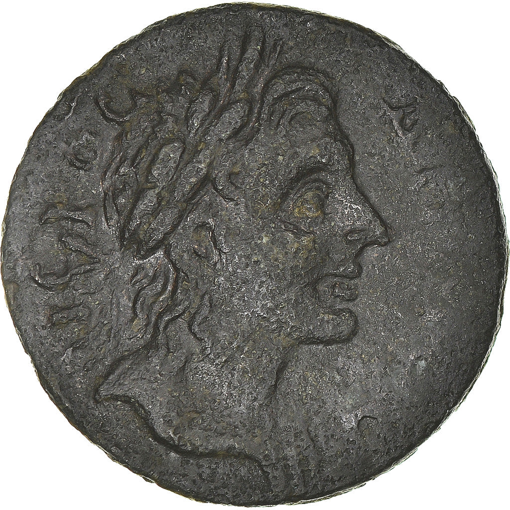 Mince,
Frygie,
Pseudoautonomní