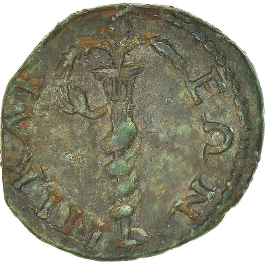 Mince,
bithynie,
Caracalla
