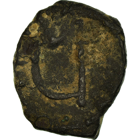 Mince,
phocas,
Pentanum