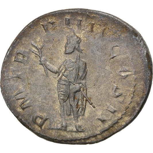 Mince,
Volusian,
Antoninianus