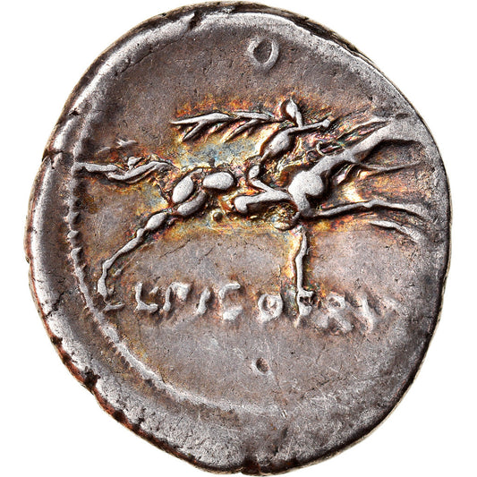 Mince,
Calpurnia,
denár
