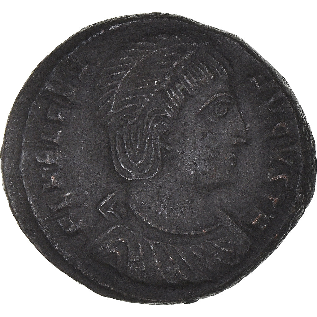 Mince, 
  
  Helena, 
  
  Follis