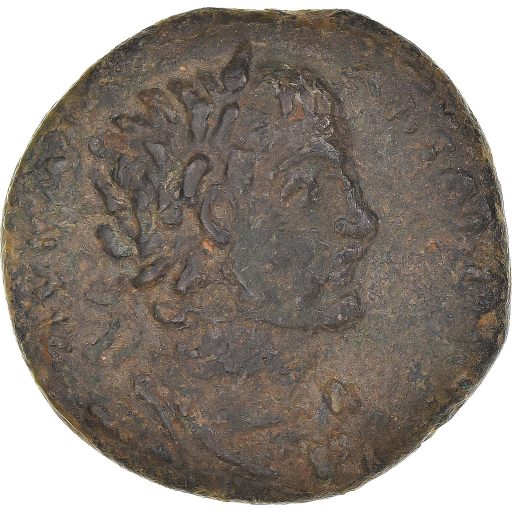 Mince, 
  
  kilicie, 
  
  Caracalla