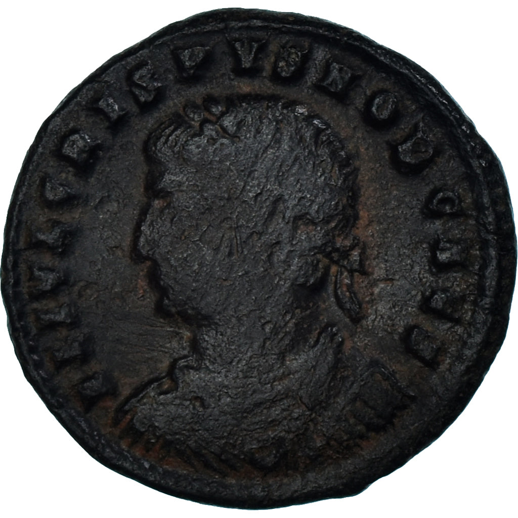 Mince, 
  
  crispus, 
  
  Follis
