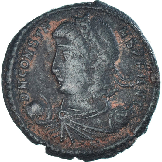 Mince, 
  
  Constans, 
  
  Maiorina