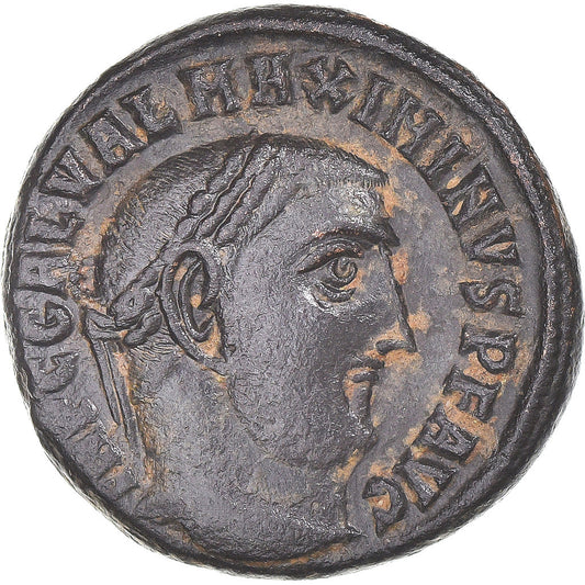 Mince, 
  
  Maximinus II, 
  
  Follis