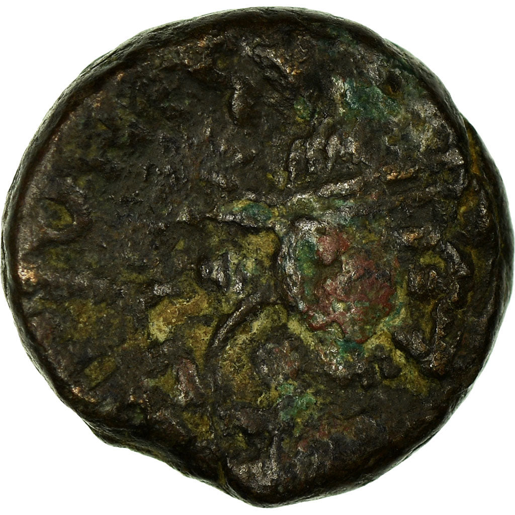 Mince, 
  
  Justin II, 
  
  12 Nummi