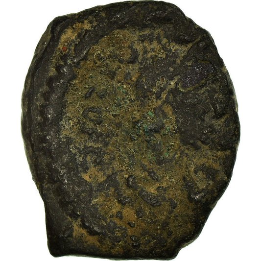 Mince, 
  
  phocas, 
  
  Pentanum