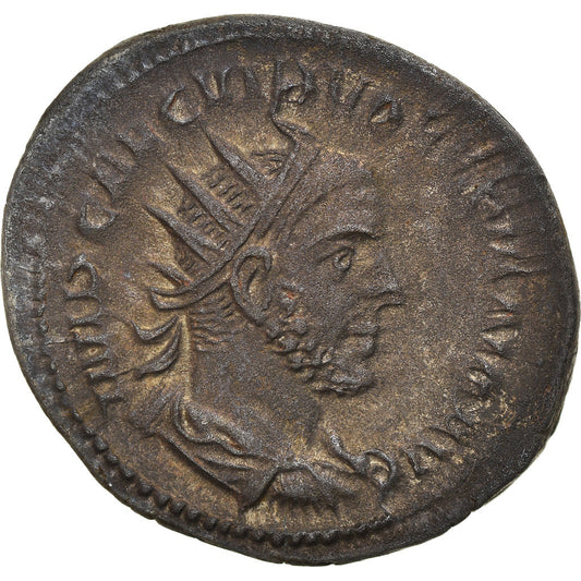 Mince, 
  
  Volusian, 
  
  Antoninianus